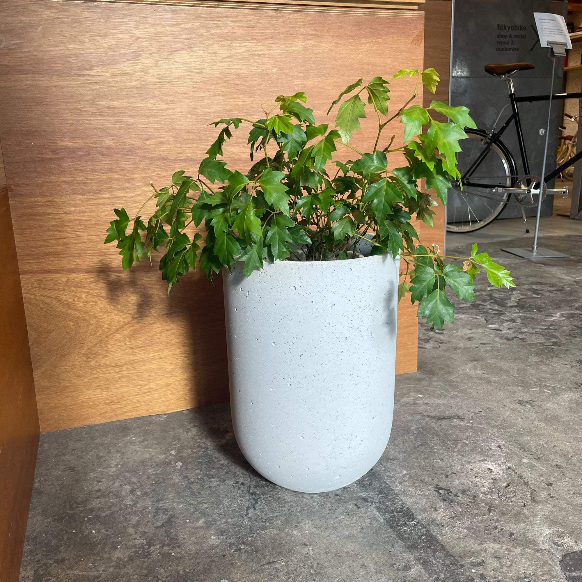 Speckle Planter U-style スペックルプランター U