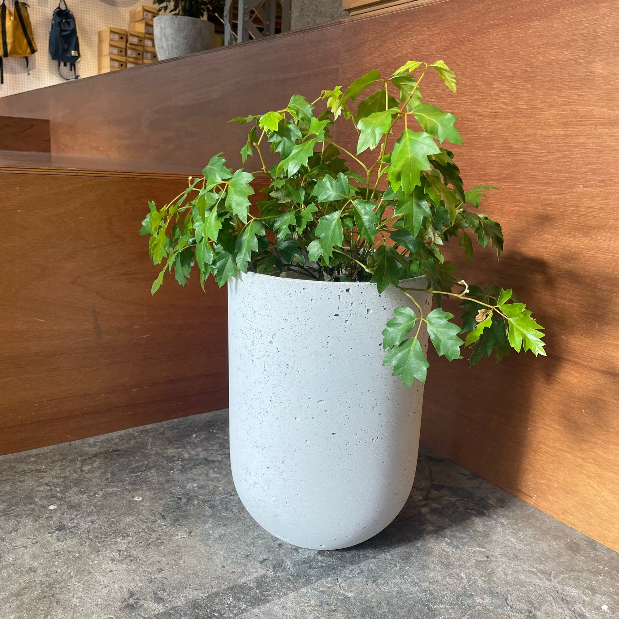 Speckle Planter U-style スペックルプランター U