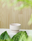 Soft Pink Collectors Gro Pot  by Angus & Celeste　コレクターズグロウポット ソフトピンク