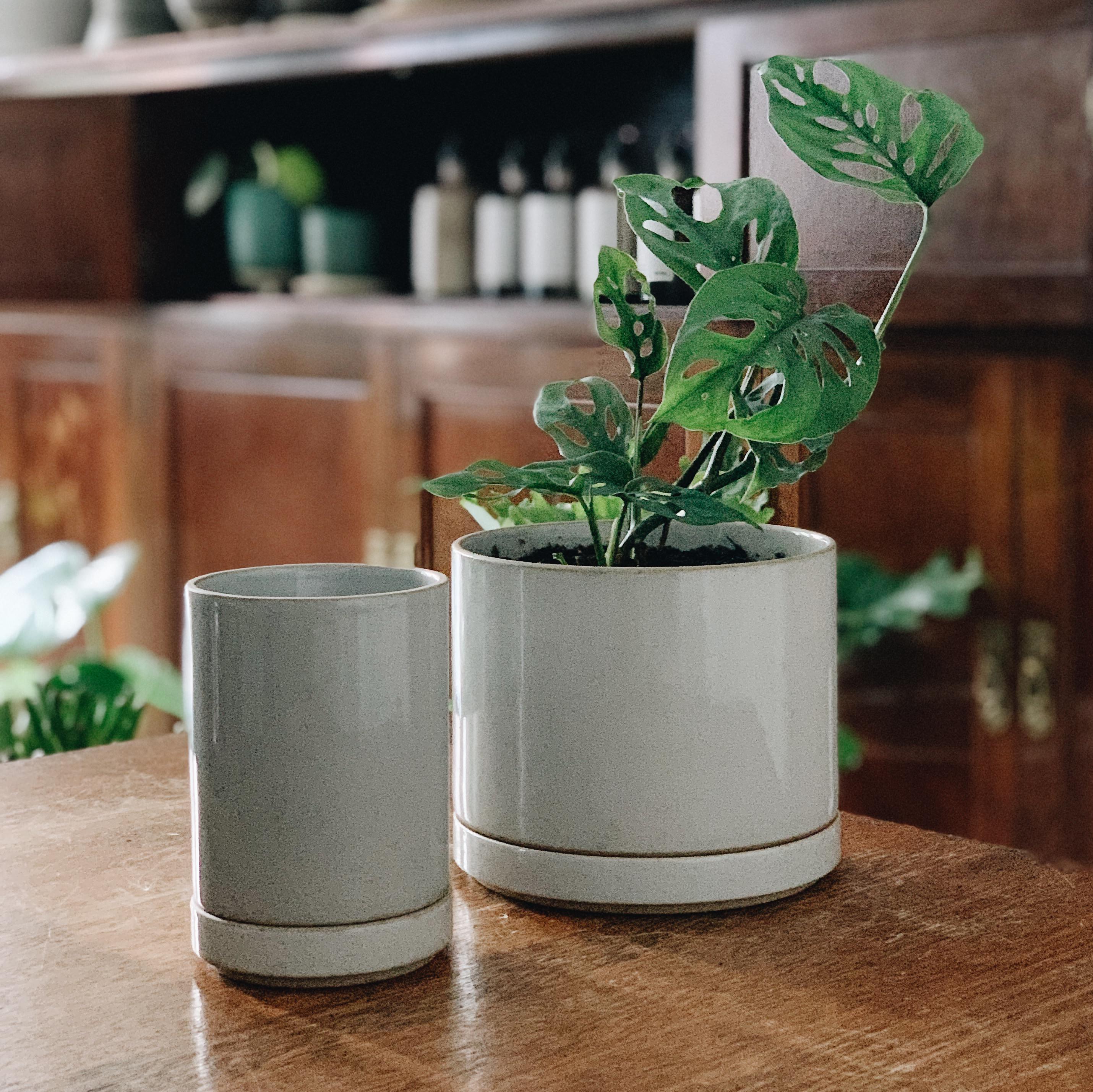 Planter in Gloss Gray by Hasami Porcelain プランター グロスグレイ