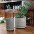 hasami planter small and medium in white graze in The Plant Society Paddington