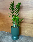 Goblet Planter Small By Lightly ゴブレットプランター S